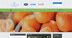 Desktop Screenshot of capespan.com